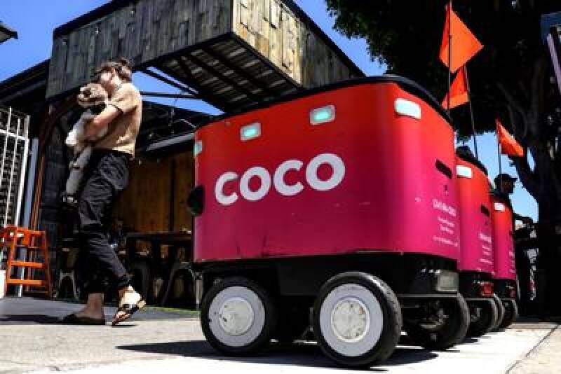 Delivery Robots: Annoyance or the Future of Convenience? An Analysis