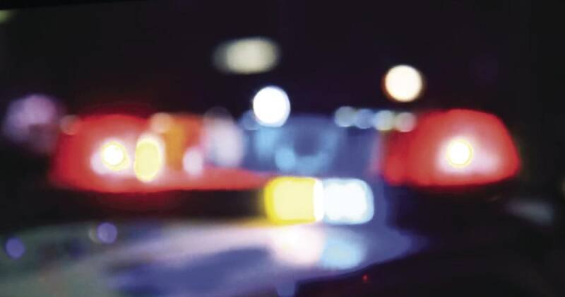 Deer Causes Car Crash on Route 49: Safety Tips & Analysis