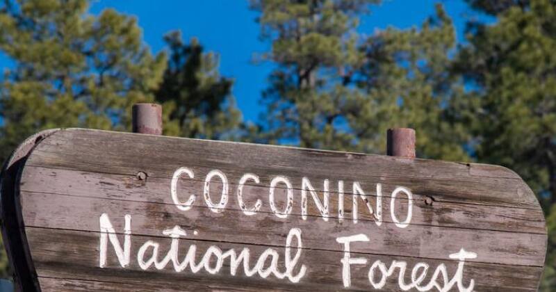 Volunteer Campground Hosts Needed in Coconino National Forest: Summer 2024