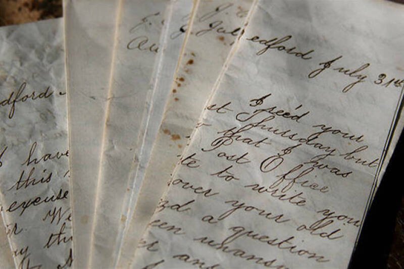 Suzanne Simard's Forest Wisdom: A Call for Government Understanding