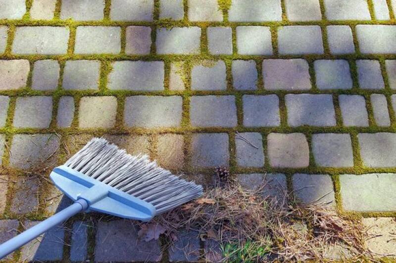 Remove Moss Easily: The 49p Fridge Hack for Patios and Furniture