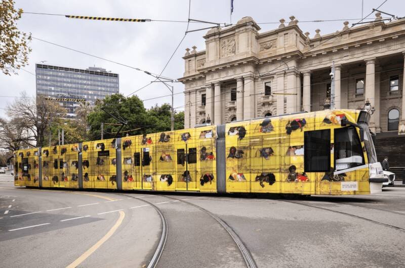 RISING Festival 2026: Indigenous-Led Art Takes Center Stage