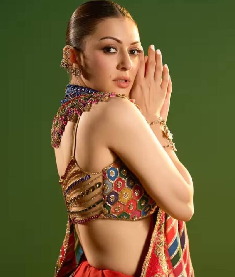 Hansika Motwani Opens Up About Divorce Rumors: Truth and Analysis