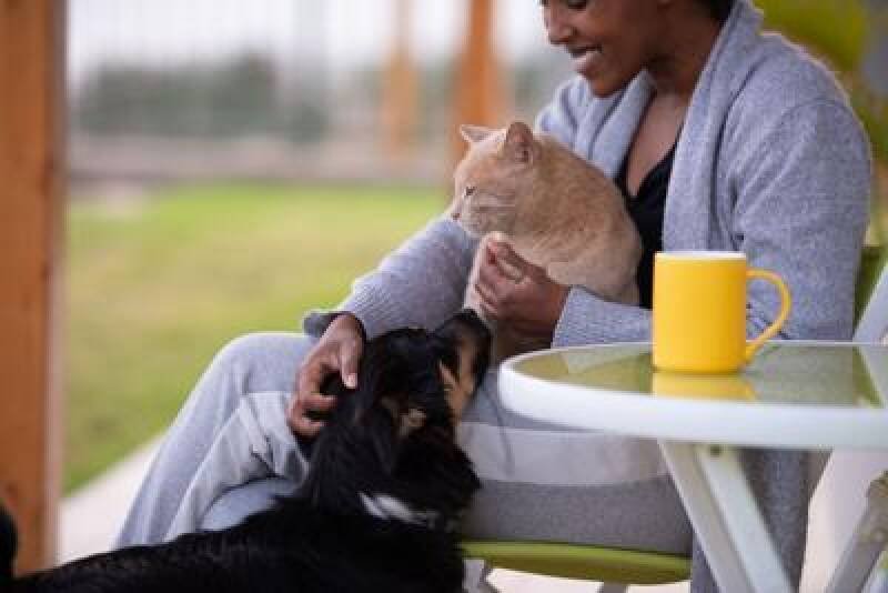 Northeast Pet Owners' Knowledge: Are They As Informed As They Think?