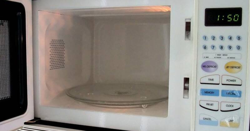 Termite's Microwave Obsession: A Deep Dive into Interspecies Longing and Unrealistic Goals