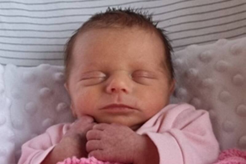 Amy Clark and Sean Jefferson Case: A Tragic Story of Baby Darcy-Leigh