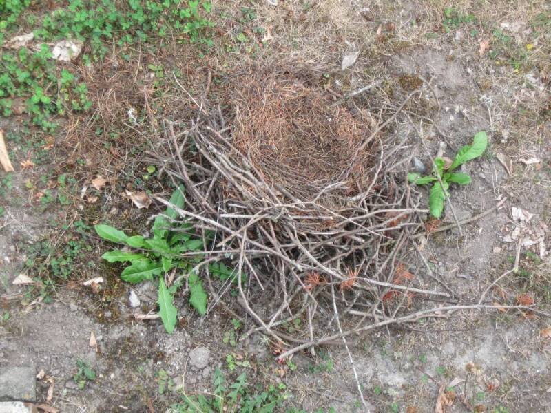 The Importance of Preparedness: Why Being Ready Matters More Than Ever