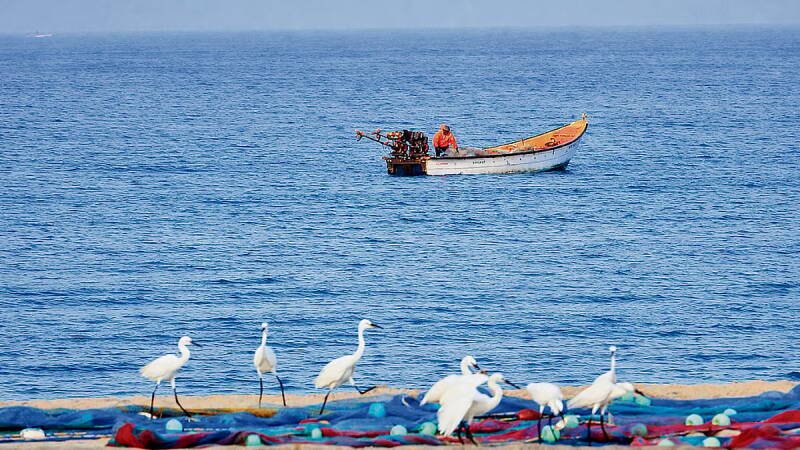 Dhanushkodi: A Hauntingly Beautiful Road to the Sea