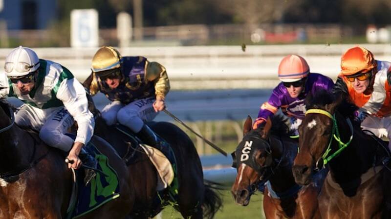 Muswellbrook Races Monday: Tips, Guide, and Expert Analysis