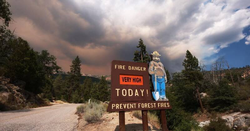 Giant Sequoias Under Threat: Wildfires Decimate Ancient Trees, Urgent Action Needed