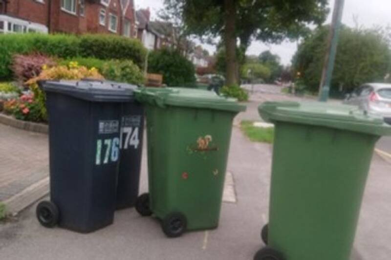 Recycling Mistakes: Why Your Pizza Boxes and Coffee Cups Aren't Getting Recycled