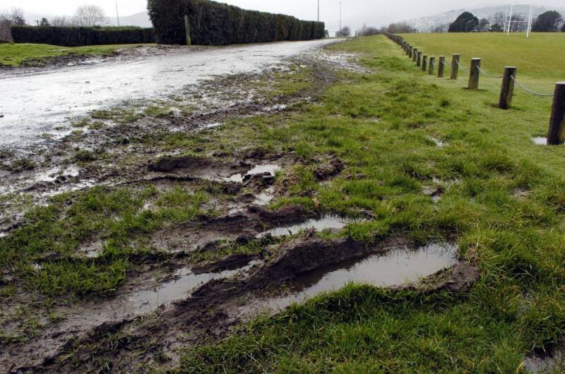 Local Issues Highlighted: National Parks, Vineyards, and Community Repairs