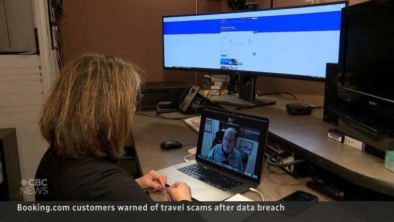 California Luxury Car Insurance Fraud: Fake Bear Attacks Exposed