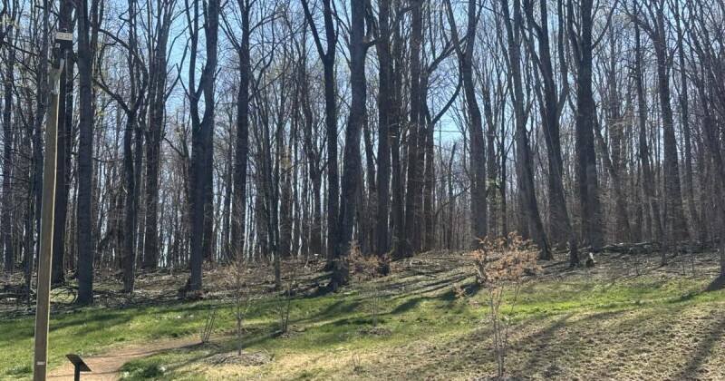 Ashe County NC Tourism Boost: Beautification Projects & Trail Development