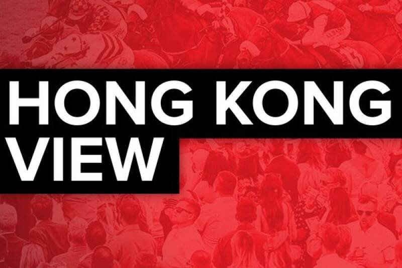 Hong Kong Racing Tips: Expert Picks for Happy Valley Wednesday Races