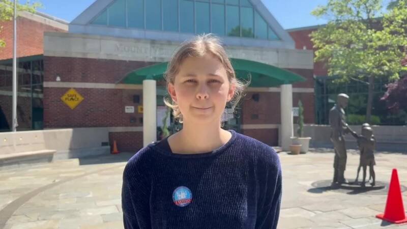 Virginia Redistricting Reform: What It Means for the Midterms and Beyond