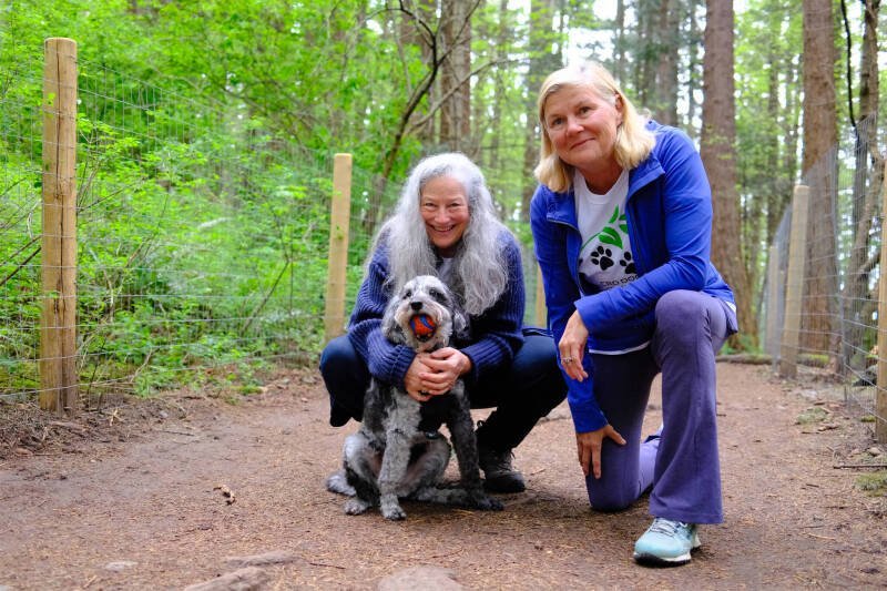 Saanich Dog Owners Frustrated by Increased Funding for PKOLS Fencing: What You Need to Know