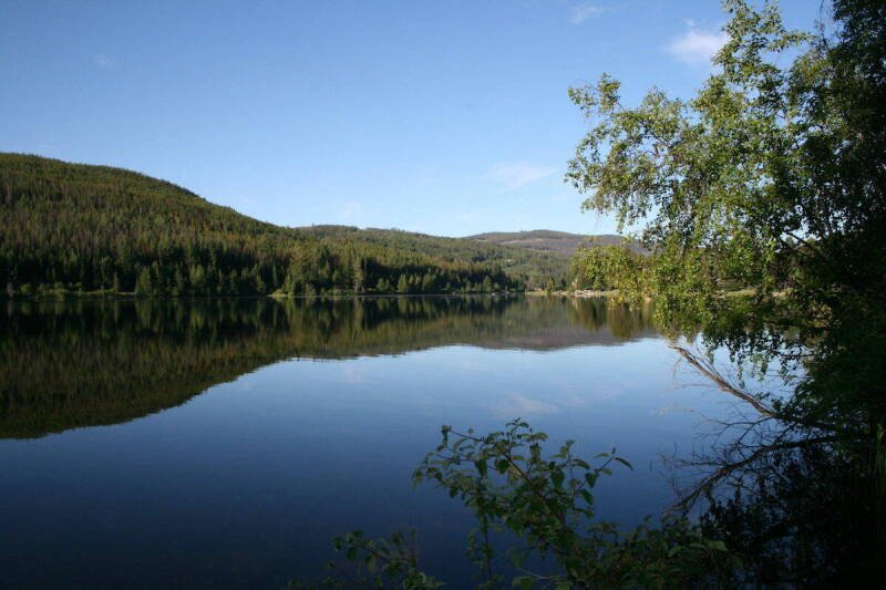 West Kootenay Watersheds: RDCK Seeks Protection for Lomond and Rosebud Creeks