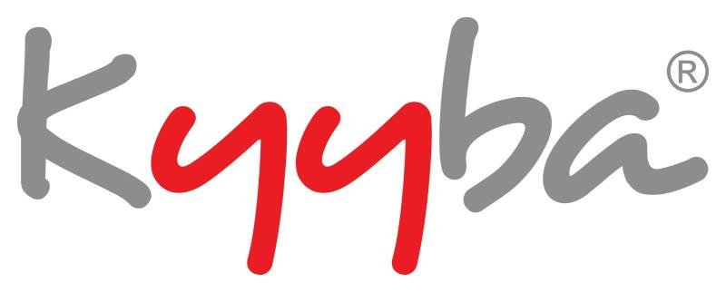 Kyyba Tech Strengthens Massachusetts Partnership: What It Means for the Future of IT
