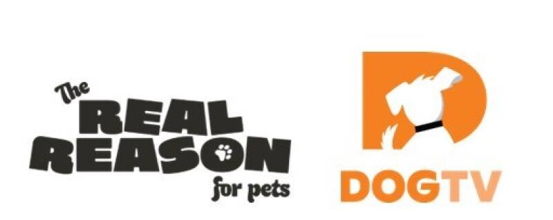DOGTV Campaign Highlights the Power of the Human-Animal Bond