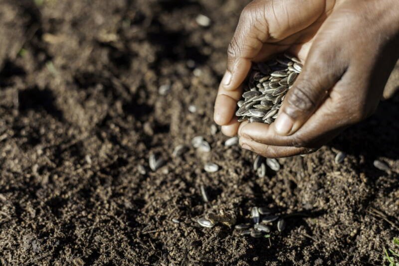 8 Black-Owned Businesses Leading the Way in Sustainable Products